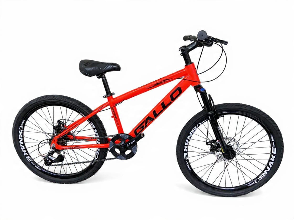 Bicicleta MTB juvenil Gallo vermelha freio disco suspensão